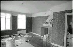 Bild 01: Motivtapet med papegojor och grenar med blad.