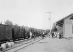 Postkupé vid Trädets järnvägsstation, å linjen Vartofta-Ulricehamn
år 1898. I Postkupé fönstret Bror A. Lidén. (Minnesinsamlingen
1954-55- 1946).