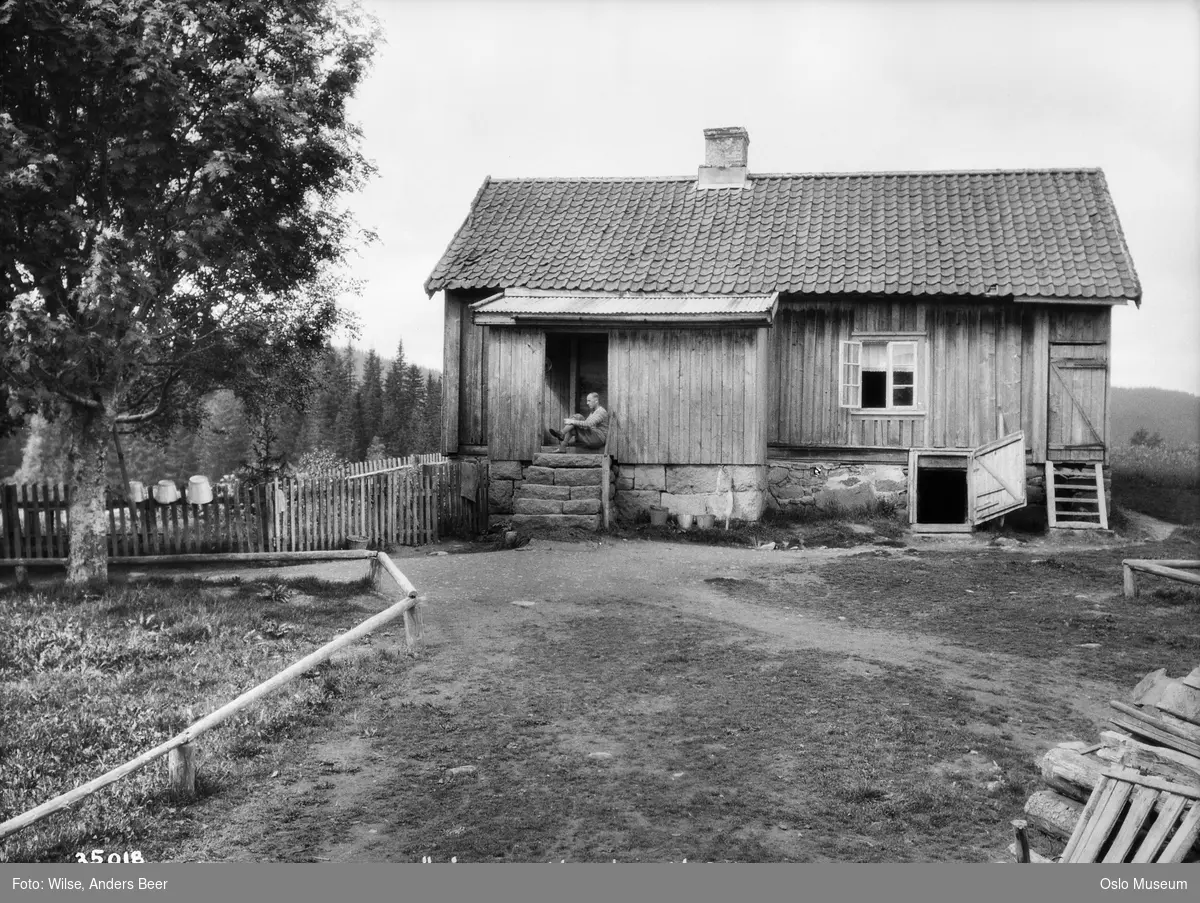 plass, tun, trapp, mann, åpen kjellerlem, stakitt, skog