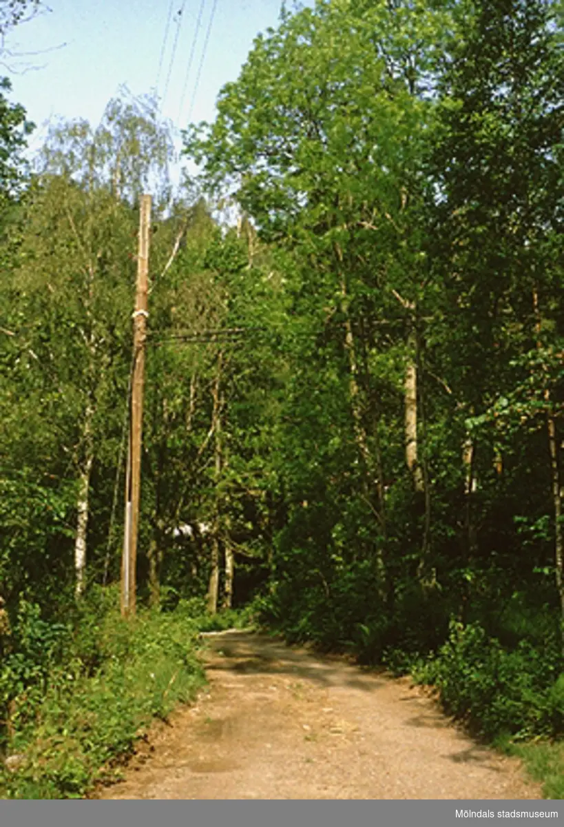 Gammal transformatorstation vid Vägminnesvägen i Skräppholmen.