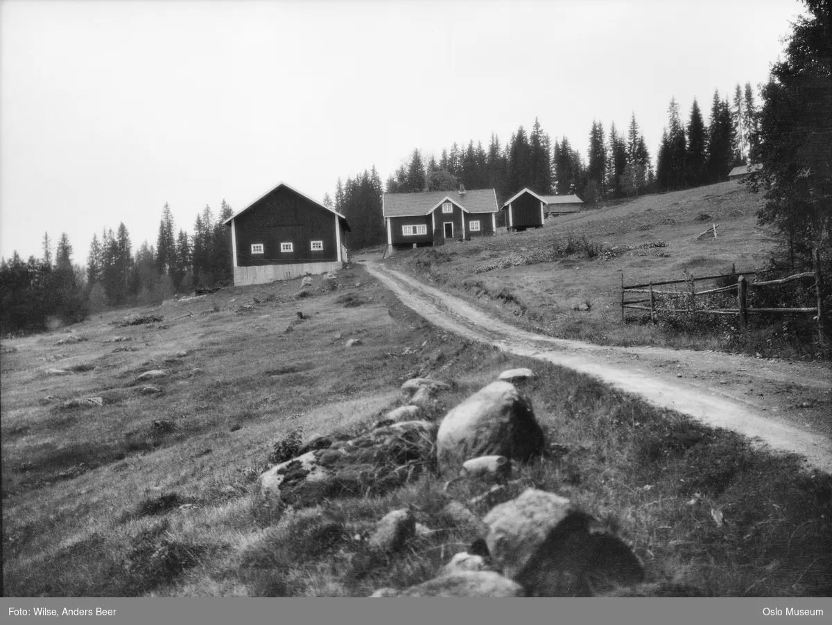 plass, kulturlandskap, vei, skog