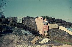 Greta Gustafsson skakar mattor vid sommarstugan på Valebergs