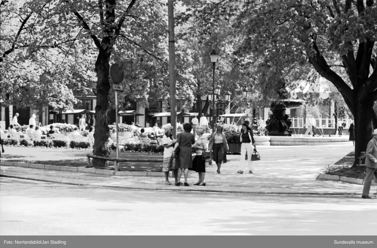 Bilder från reportage i HSB:s medlemstidning Vår Bostad, av Ingrid Andersson. "Staden mellan bergen är som en miniatyr av Rio" : min syn på stan. Bilder från bland annat Bosvedjan, sjukhuset, Norra berget, Södra berget, kommuhuset, hamnen med färjan Wasa Express, stadsvyer vid Vängåvan och Stora torget.