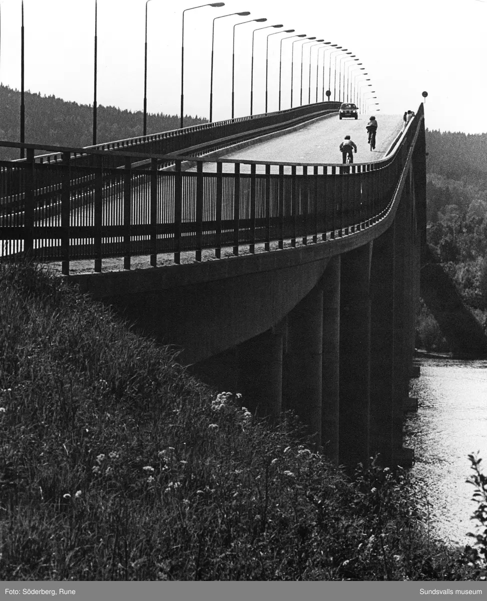 Alnöbron.