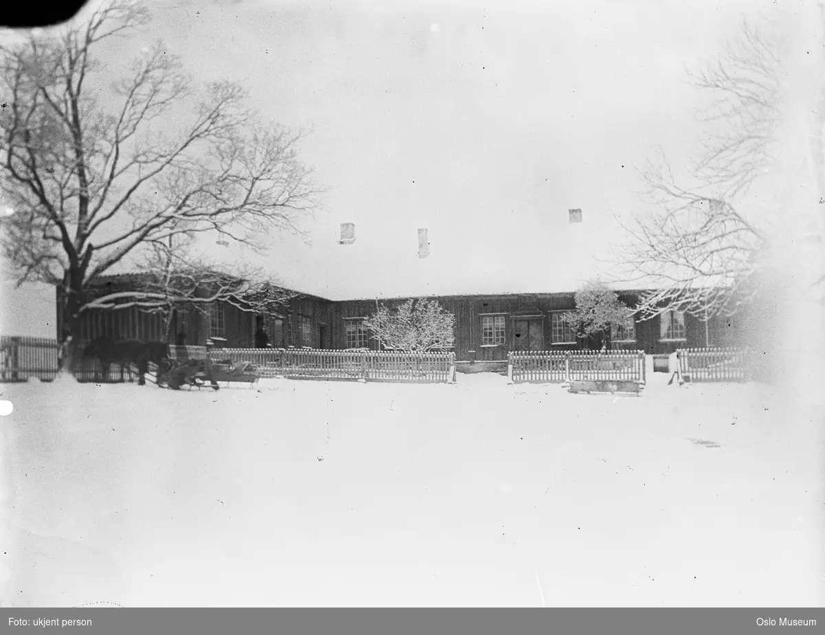 gård, bolighus, hest, slede, gjerde, snø