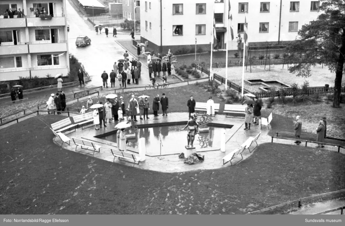 Avtäckning av en statygrupp vid dammen i kvarteret Vasa i Skönsberg. Skönsbergsvägen-Medborgargatan-Vasagatan-Bruksgatan.