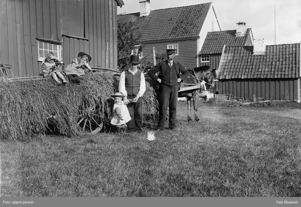 gårdstun, menn, barn, hest, høyvogn