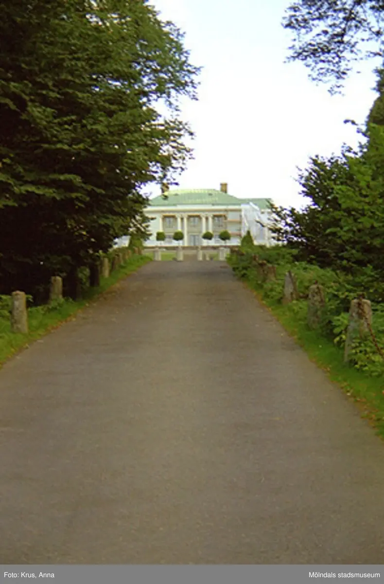 Gunnebo slott - parken mot norra sidan.