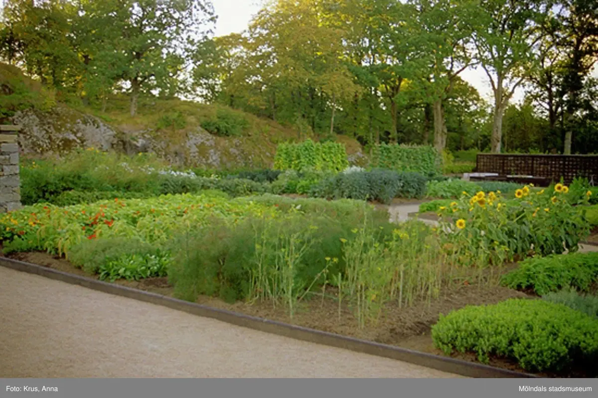 Köksträdgård vid Gunnebo slott.