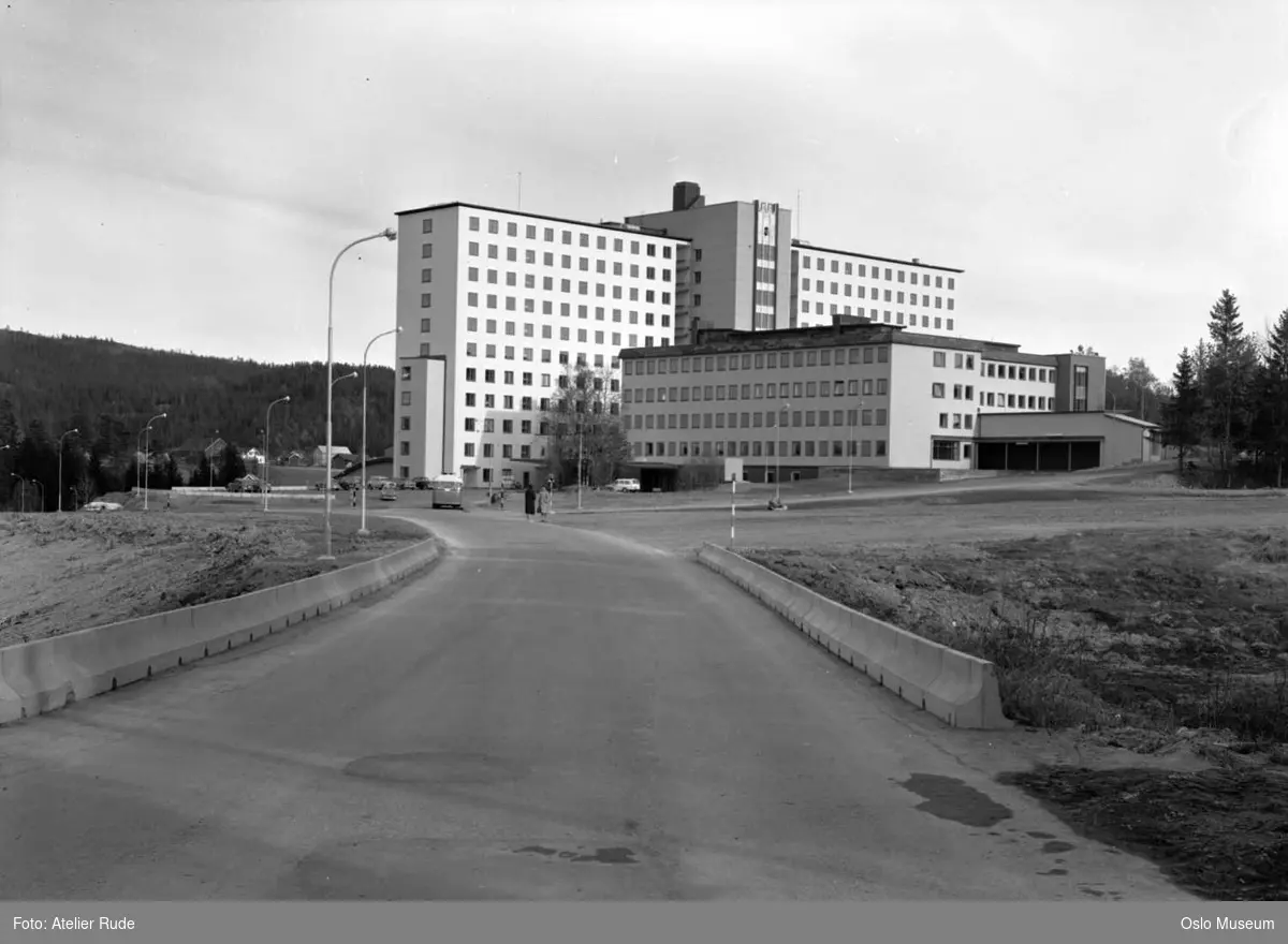 vei, veikantskjermer, Akershus fylkessykehus, gatebelysning, skog