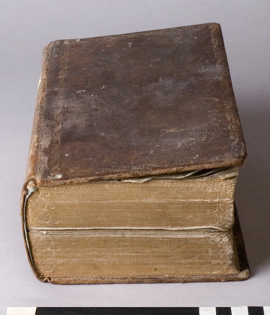 Bibel, inbunden med guldsnitt och pärmar av läder. Rygg och pärmar med präglad förgylld dekor i form av horisontella band samt med blomstergirlander.
Etikett av papper på ryggen med titeln "BIBEL" i förgyllt typsnitt. Etiketten är nött och sliten och därför något svårläslig.
Sprickor och insektsangrepp samt bortfall av förgyllningen på lädret.

Märkt: "Nord. mus." samt med "G. af banktjänstemannen E.G. Hedberg 21/7 1899"