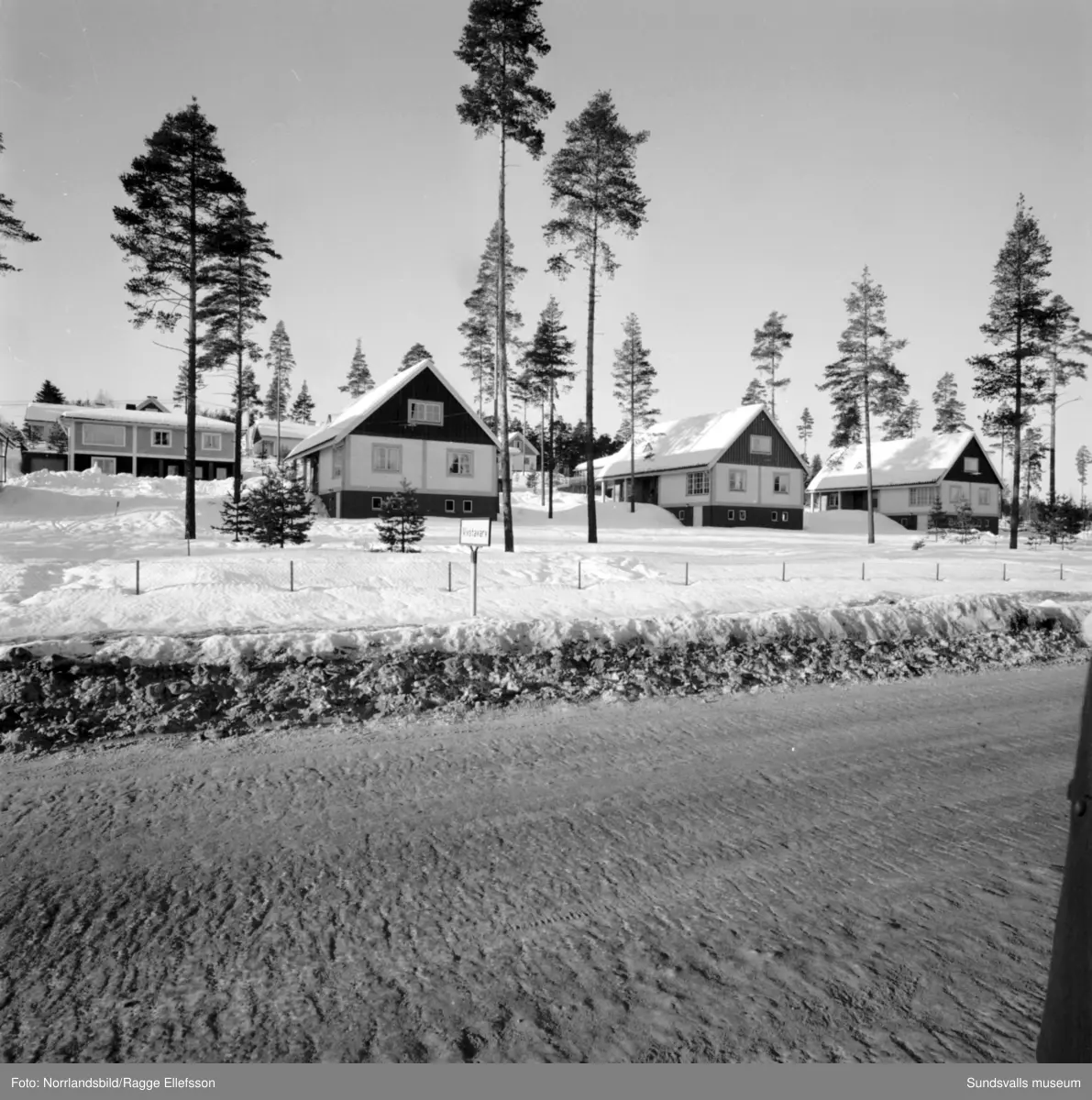 Diverse bilder från Timrå köping. Bland annat fasaddekoren vid simhallen, bronsskulpturen vid Tallbacken, Mariedalsskolan.