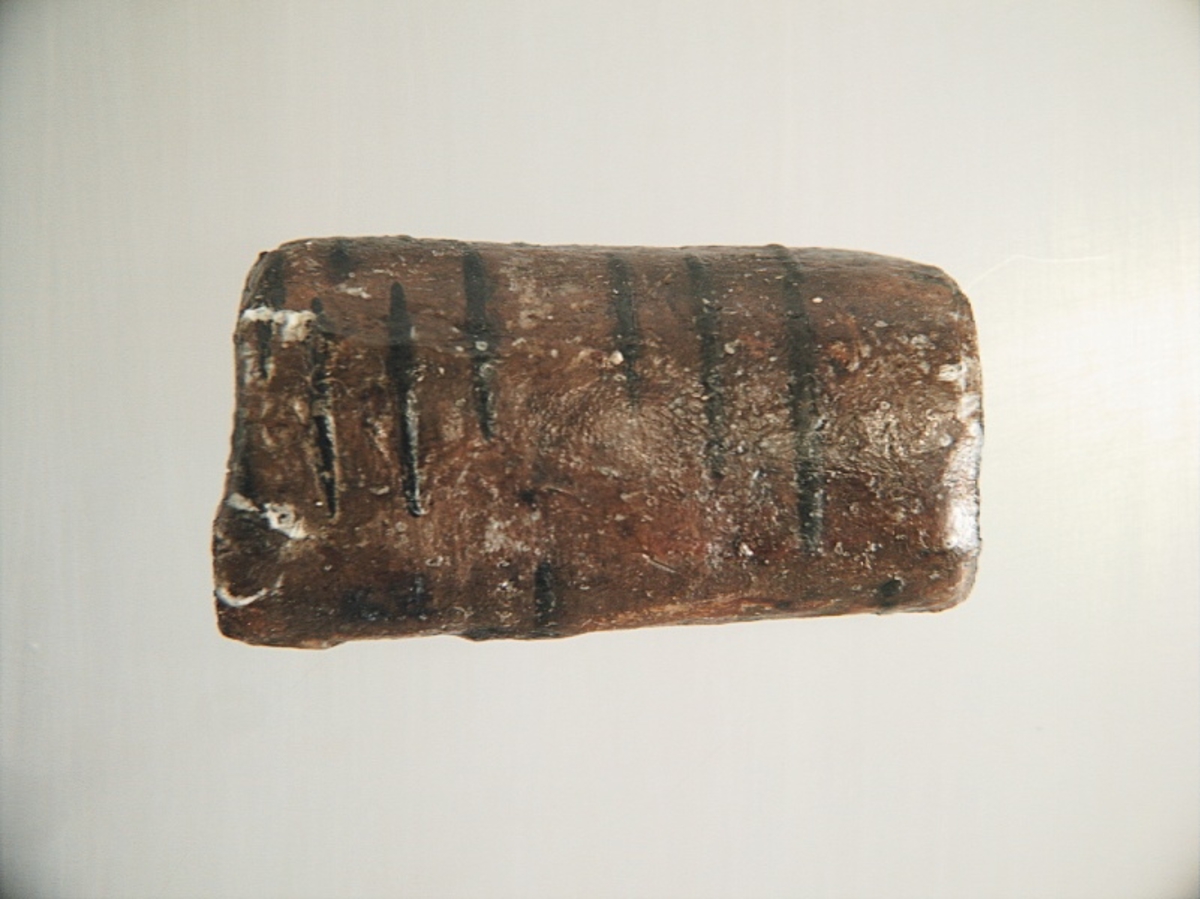 Ett flöte av näver. Flötet har formen av en rulle. I flötets mitt finns ett ca 13 mm brett hål som löper genom rullen. Flötet är välbevarat.