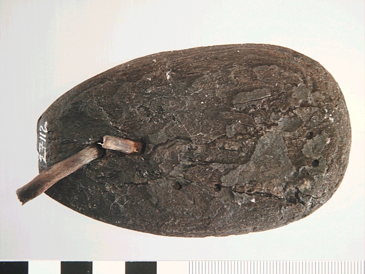 Ett ovalt flöte av bark. I flötets övre del finns två mindre hål, med kvarsittande band av rot. Flötet är välbevarat.