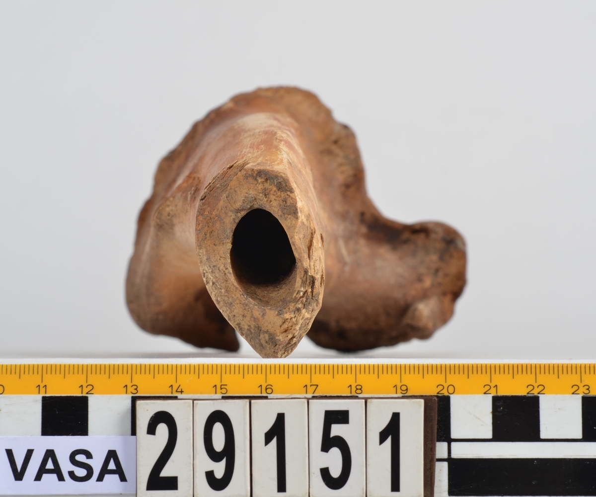 Nötben.
1 st. del av bäckenben (pelvis).
1 st. skenben (tibia).