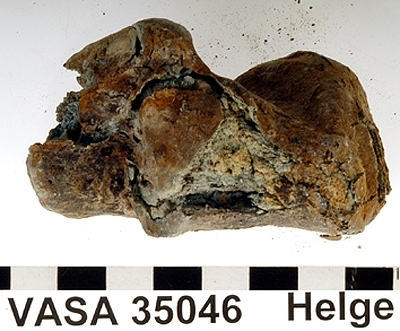 Hälben, vänster. Skadat.
Calcaneus, sinister.