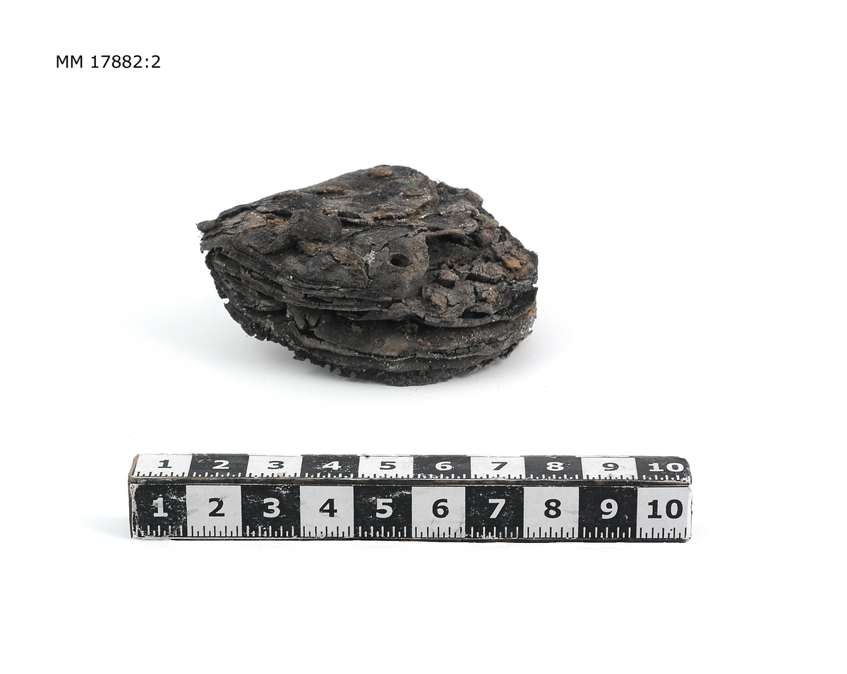 Sjöfynd från vraket Nya Riga. 16 fragment av läder, flertalet tydliga rester av skor med sula och klack försedd med pliggar. Spår efter sömmar. Hälften är större fragment.

För dimensioner på de enskilda bitarna, se inventariebilaga.