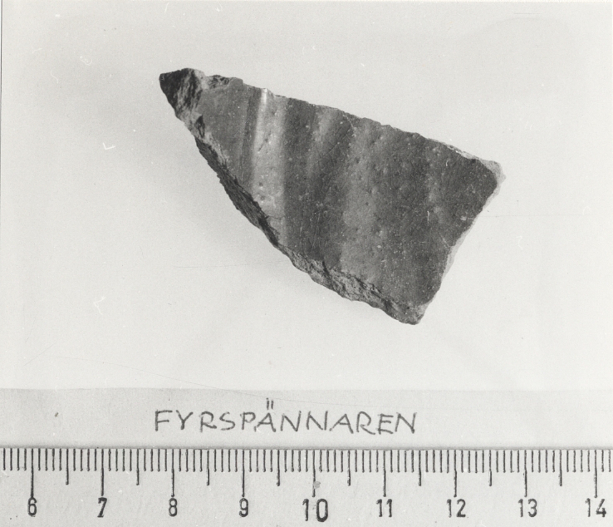 Kantfragment från kruka.