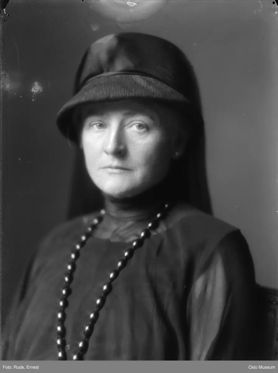 portrett, kvinne, forfatterinne, brystbilde, hatt, sørgeslør