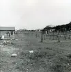 Torkställe för nät omedelbart norr om strandstället..[]. Stranden mot Öresund. Skåne, Malmöhus län, Råå.