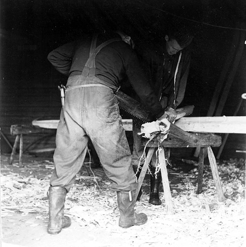 Neg nr 39. Stävämnet sågas av till lämplig längd. Foto 6.8 (1962).