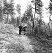 Neg nr 210. Ämnesvirket bäres hem. Foto 14.8 1962.