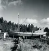 Motorjakten Oscar av Nordingrå på J. Dahlkvists slip.
Ångermanland, Nordingrå tingslag och socken, Barsta.