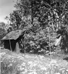 Uppland, Stockholms län, Frötuna skeppslag, Länna socken, Vettershaga. Sjöbodar och gisthage. Foto i juni 1950.