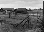 Norrboda hamn. Gistvallar, sjöbodar och rökhuv för strömmingsrökning. okt 1954.