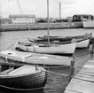 Skåne, Torekov, Yttre hamnen, Brygga för småbåtar med skånesnipor och en plattbottning. Juni 1962