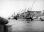 Fil lic. gunnar Jonssons undersökningsresa till Västkusten juni 1940. 25. Göteborgs hamn juni 1940.Svenska och tyska fartyg vid Packhuskajen.