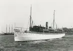 Passagerarfartyget S/S HANSA (1899) i Visby hamn. HANSA sänktes av en sovjetisk ubåt 1944-11-24.