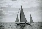 Sven Saléns havskryssare HAVSÖRNEN II.