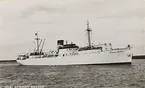 AFRICAN REEFER,ex. ROAMER, ex. AFRICAN REEFER II