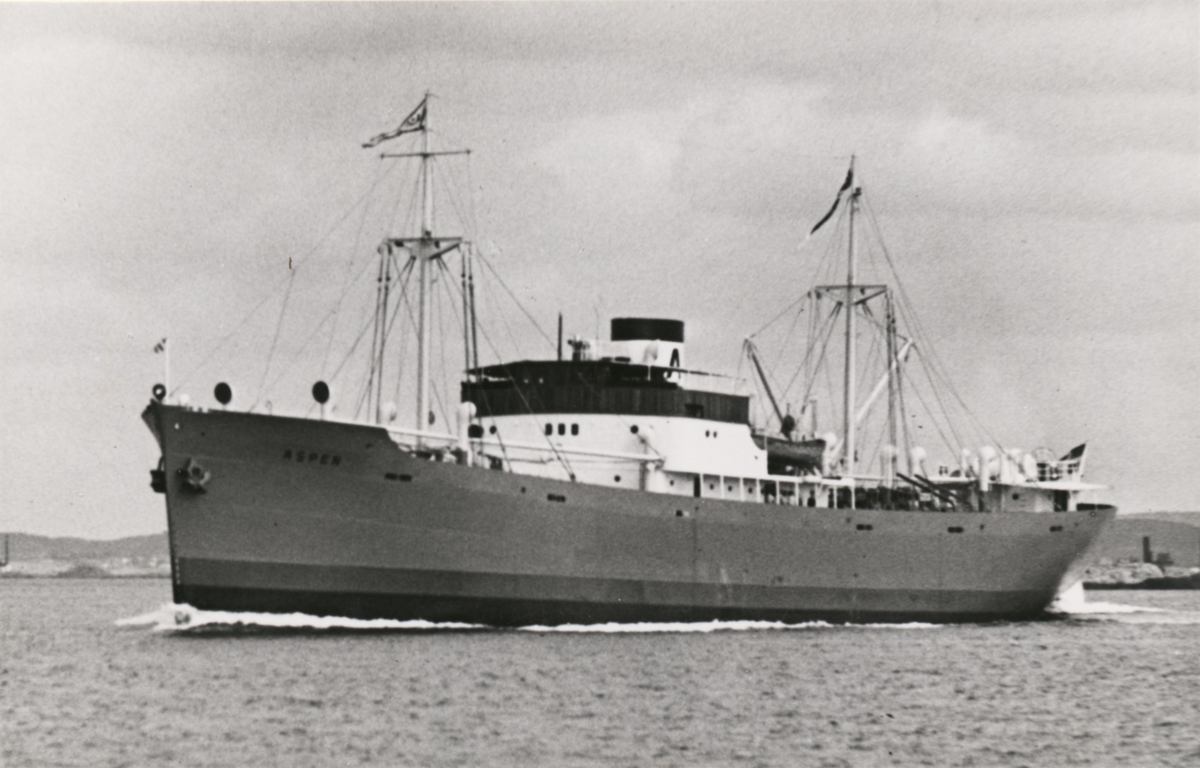 Fo106117