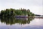 fiskodling Silverpilen
Ridö (vid Sundbyholm) 21/6-89