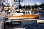 Pampas marina, Sthlm-aug 93