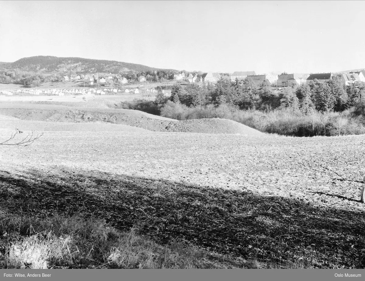 kulturlandskap, Sogn hagekoloni, villabebyggelse, skog