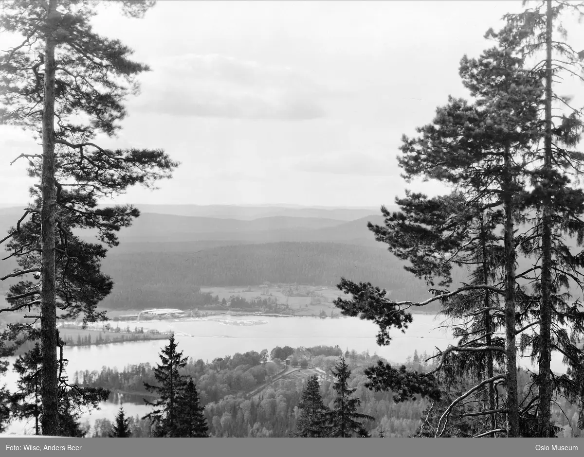 utsikt, skog, kulturlandskap, Bogstad gård