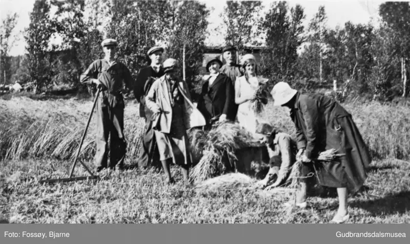 Skurdonn, mennesker samlet, to kvinner samler korn i såter, trær i bakgrunnen.