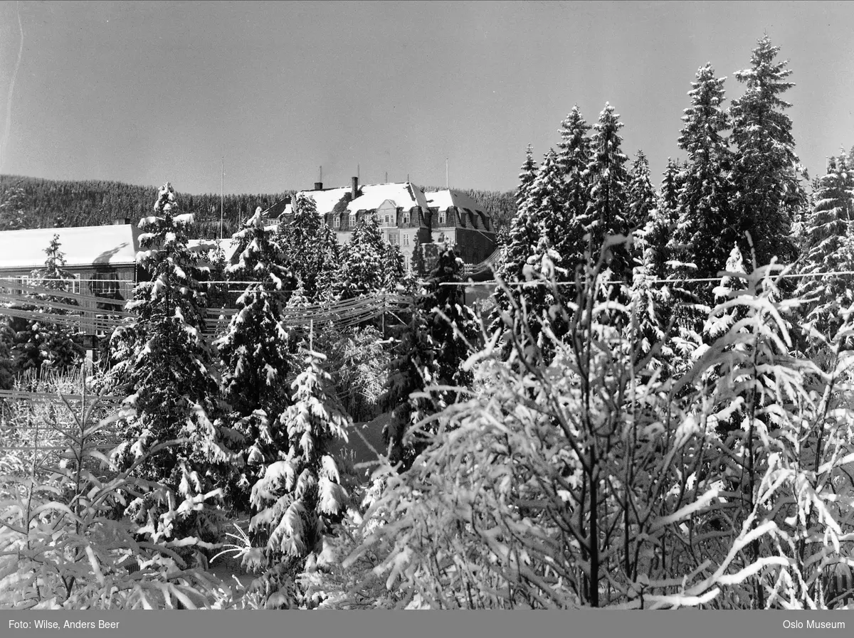 Vettakollen turisthotell, skog, snø