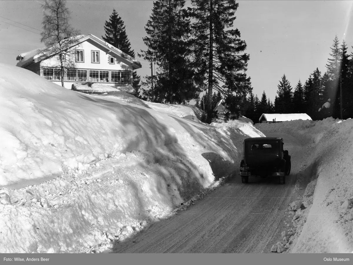 vei, snø, brøytekanter, bil, restaurant, skog