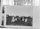 Reprofotografi - Elin, Ivar, Signe, Anders, Bruno, Britta, Carin och Olle Liljefors, Uppsala 1900 - 1901