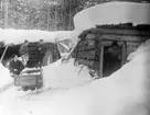 Ivar Arwidsson, Ernst Tengwall och sannolikt Ruben Liljefors vid Lekattkojan, Härjedalen 1900