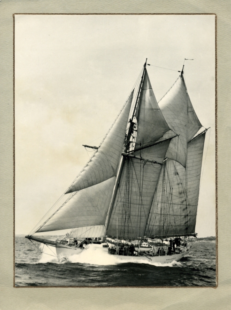 Fo157696