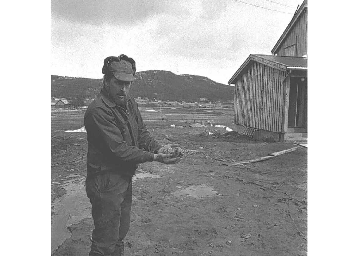 Alvdal, Mann med poteter, Hus
