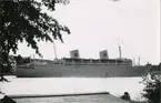 Foto föreställande passagerarfartyget GRIPSHOLM av Göteborg till ankars i Stockholms ström år 1959.