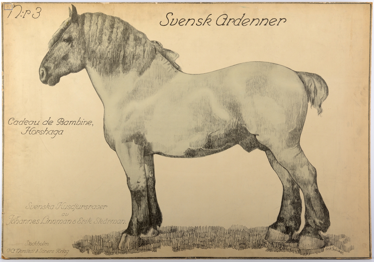 En hest av rasen Svensk Ardenner