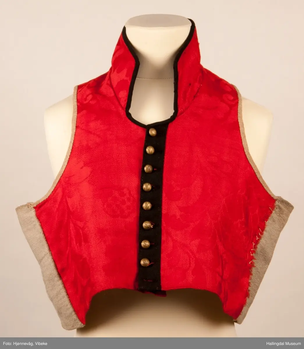 Vest
