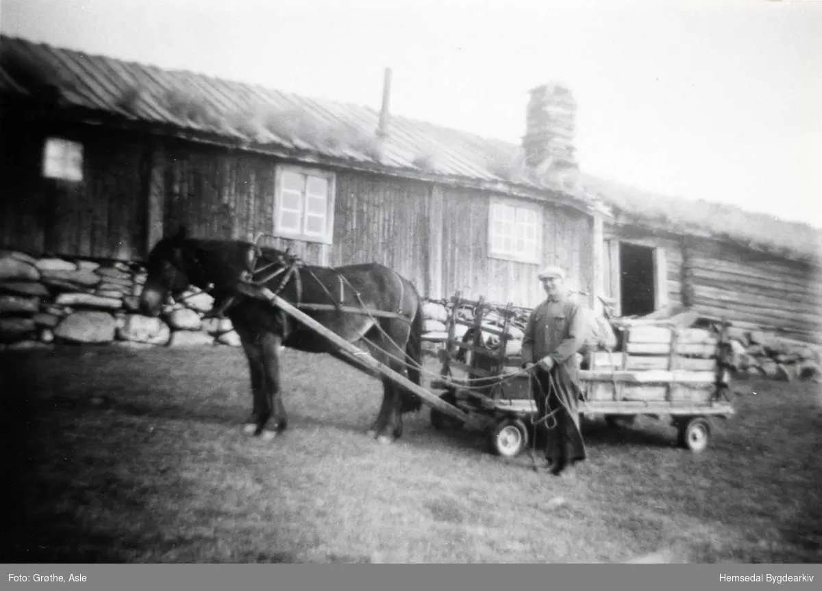 Knut A. Grøthe med flyttelass (fløtarlass) på Jonstølane 63/12 i Hemsedal i 1954